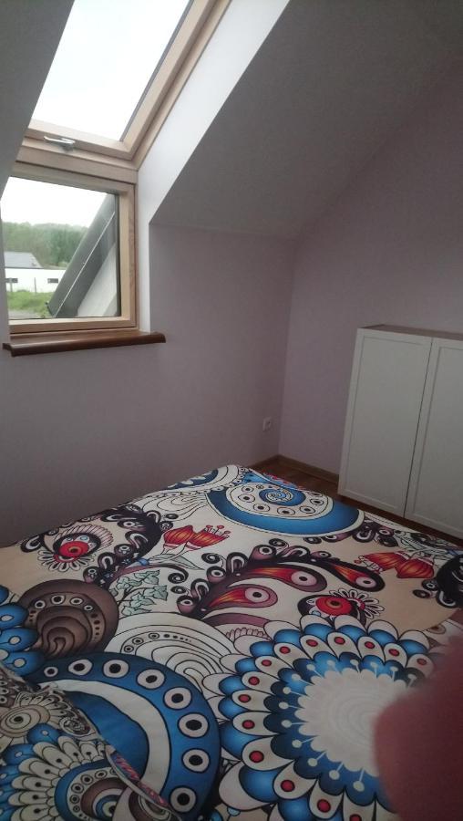 Apartamenty U Beaty レバル エクステリア 写真